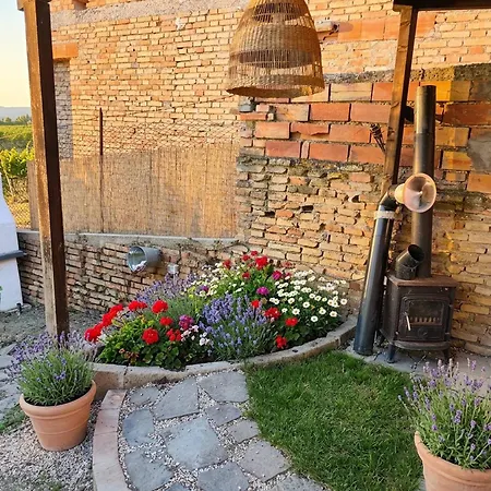 Charming Retreat In Morro Dalba Hilltop Serenity Awaits Morro dʼAlba